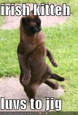 funny-pictures-irish-jig-cat.jpg IRish Kitteh image by nokora