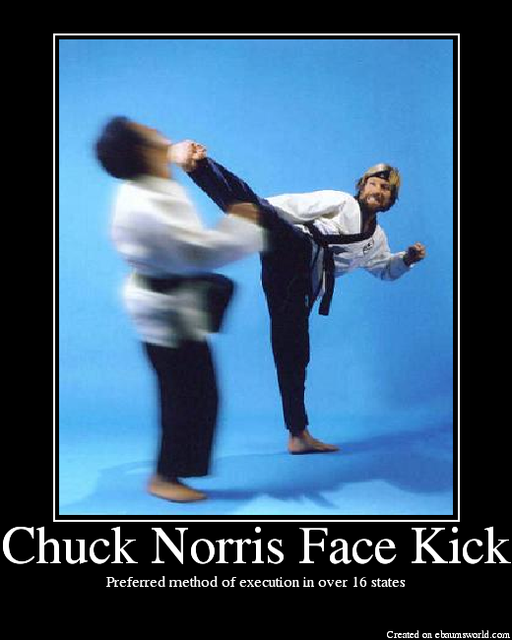ChuckNorrisFaceKick-1.png