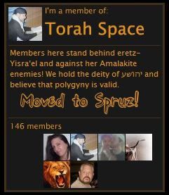 Torah Space