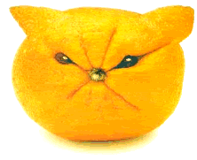 sour-puss-lemon-face.gif