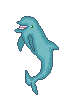 dolphinx.png