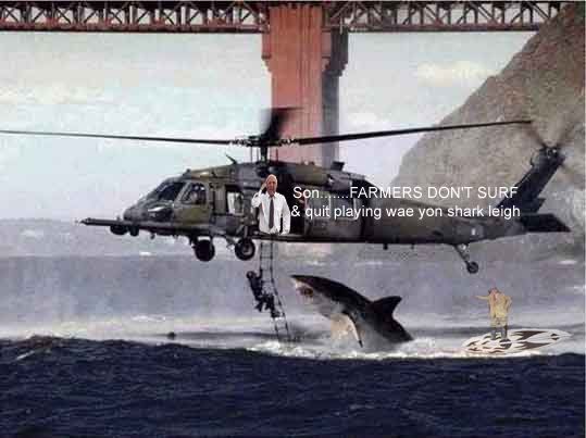 shark-helicopter.jpg