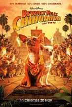 Beverly Hills Chihuahua Pictures, Images and Photos