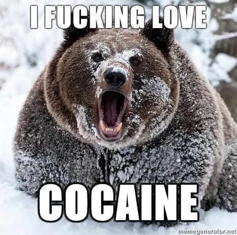 more-bear-I-Fucking-love-COCAINE.jpg