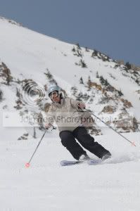 snowbirdinMay.jpg