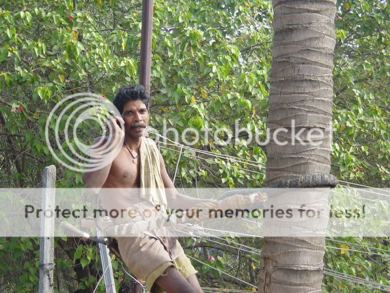coconut harvester reaping the fruits of technology
